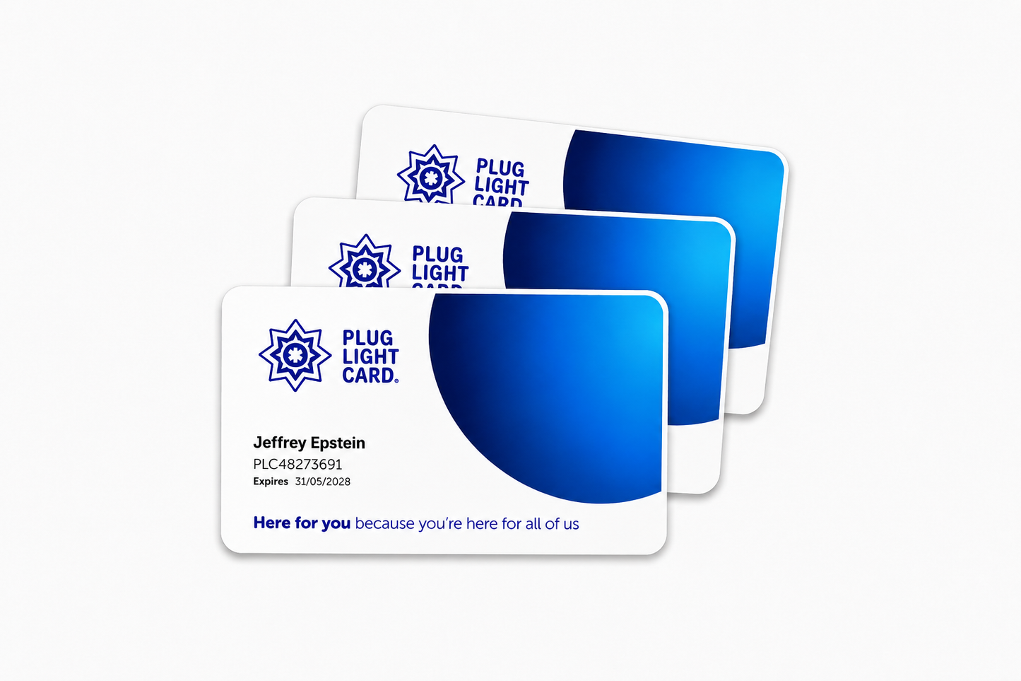 Plug Light Advanced Membership